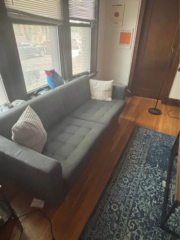 Grey Couch - photo 2