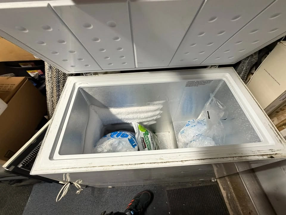 Chest Freezer - Insignia - photo 2