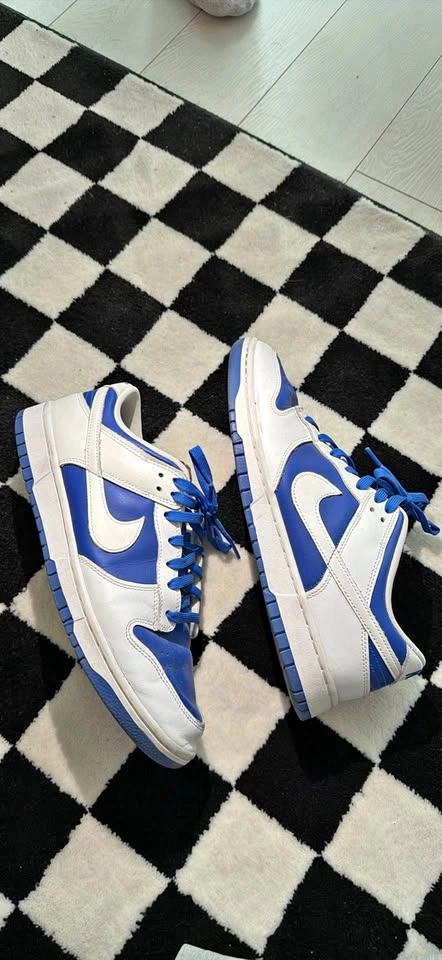 Nike dunk reverse racers