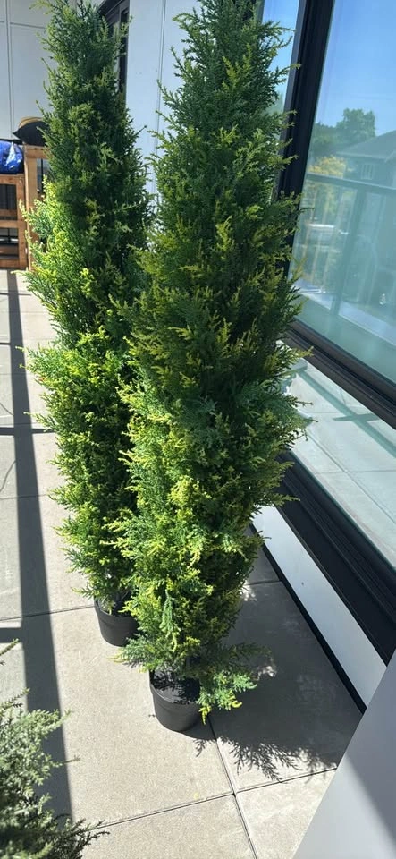Faux Topiary - photo 2
