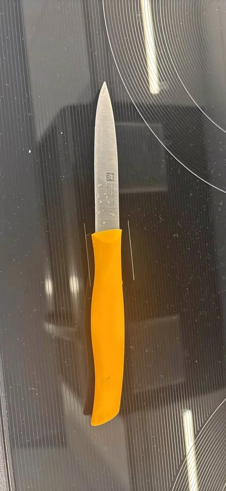 ZWILLING TWIN GRIP 3-inch Paring Knife, Orange
