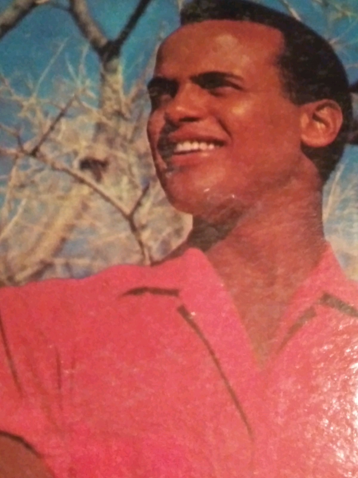 Harry Belafonte Sings of the Caribbean Vinyl LP - photo 3