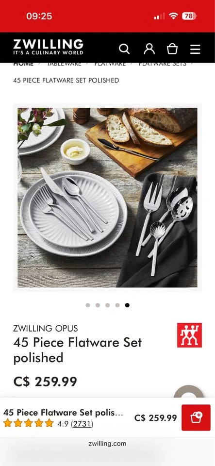 Zwiling Opus 45 piece flatware set polished - photo 2