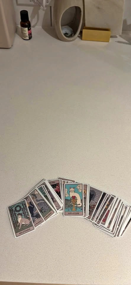 Small cat tarot cards