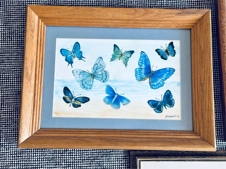 Framed Wall Art Decor