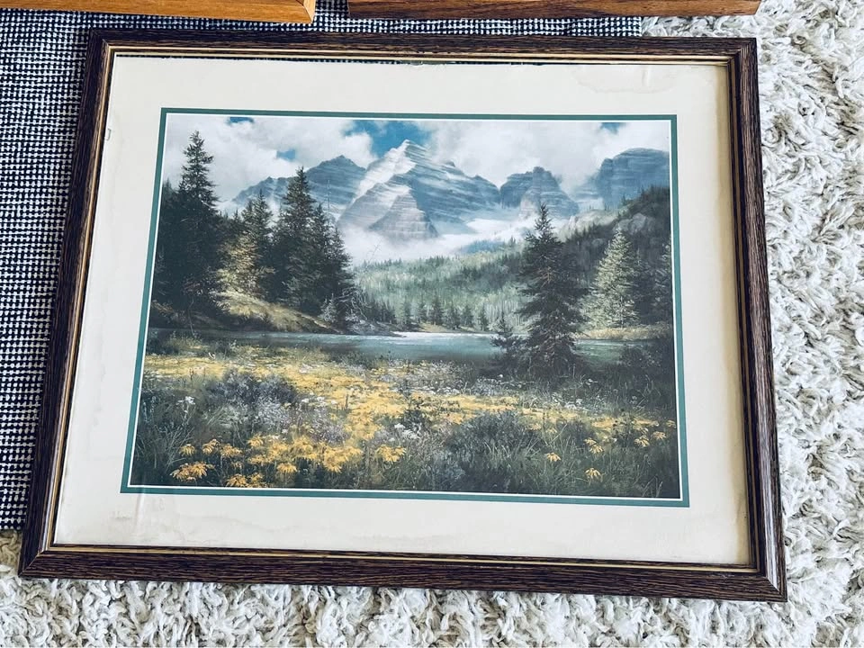 Framed Wall Art Decor - photo 2