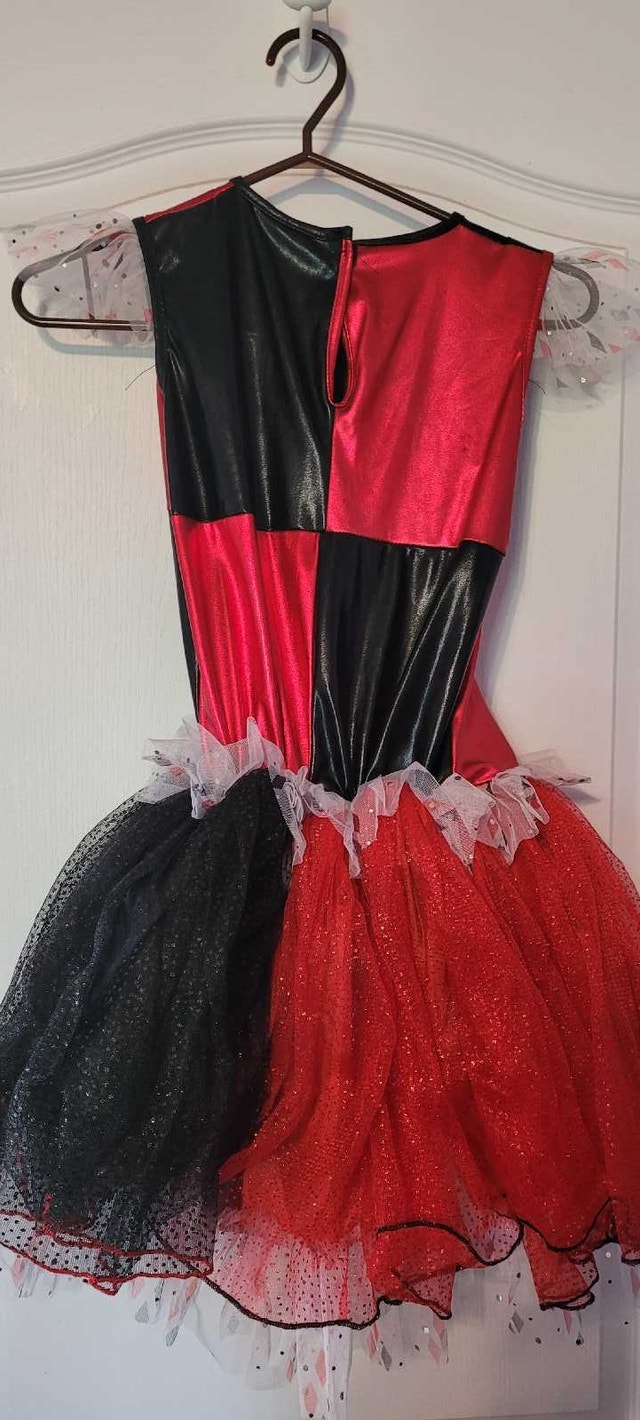 Kid's DC Harlequin Costume - photo 2