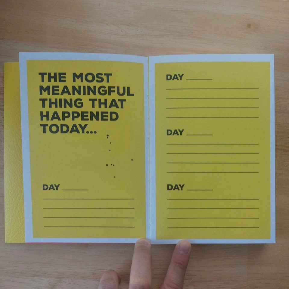 Meaningfulness Journal - One Sentence A Day - photo 3