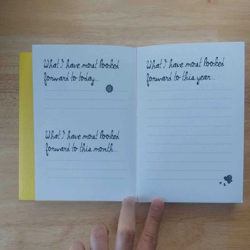Meaningfulness Journal - One Sentence A Day - photo 4