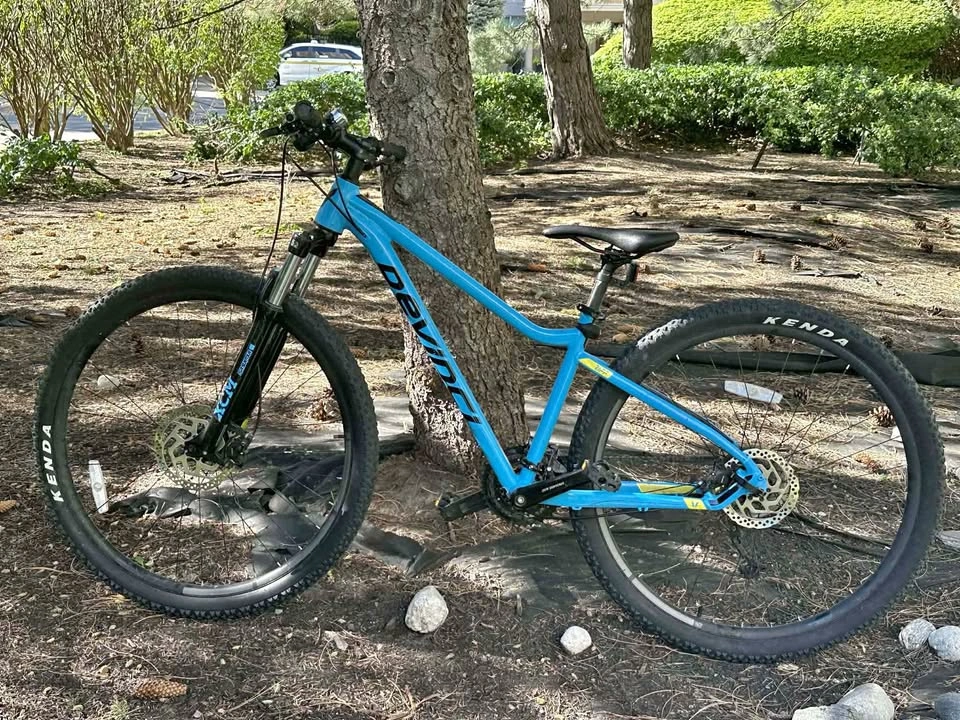 Devinci Riff 29er Mountain Bike – Excellent Condition