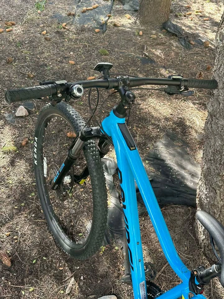 Devinci Riff 29er Mountain Bike – Excellent Condition - photo 2