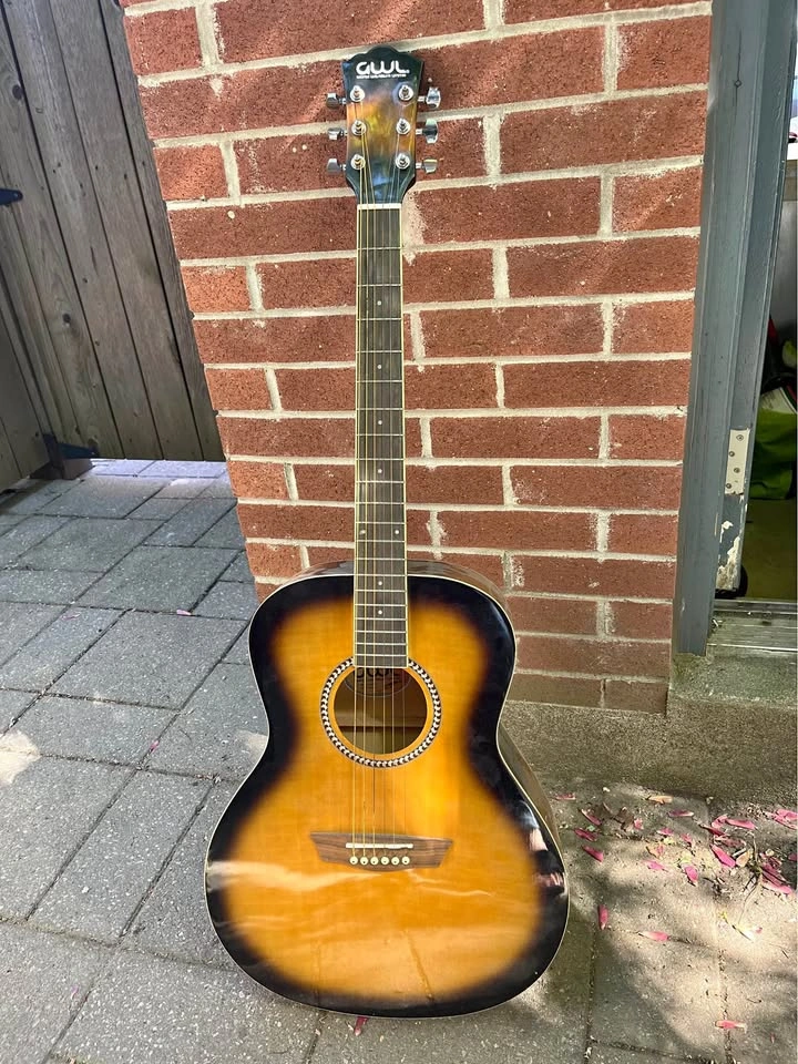 Washburn Acoustic Guitar – Great Beginner Guitar 🎸