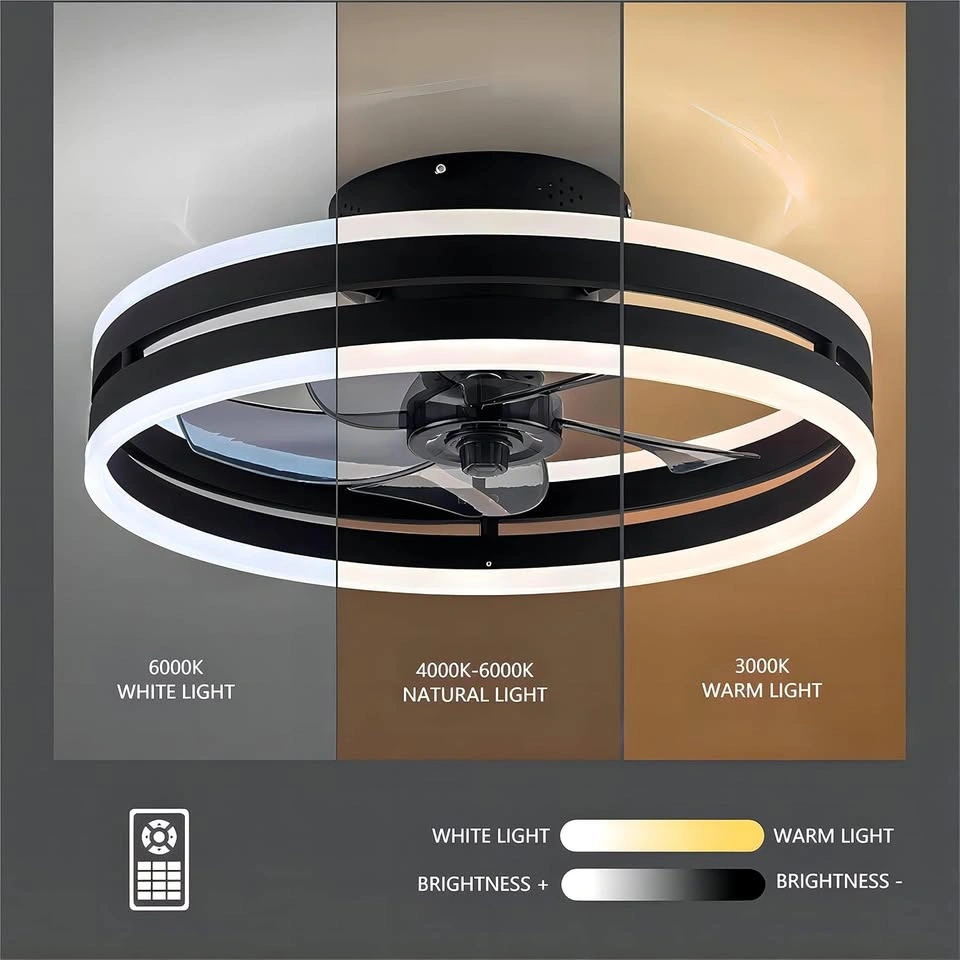 Ceiling Fan with Light, 19.7 Inch Ceiling Fan Light Fixture - photo 4