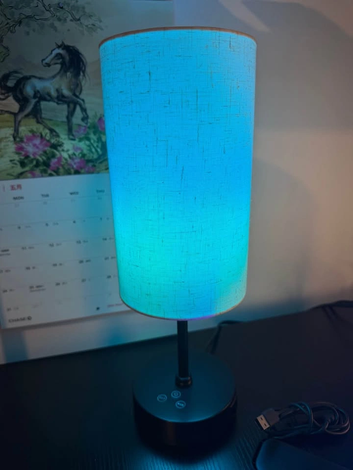 RBG light set up - photo 4