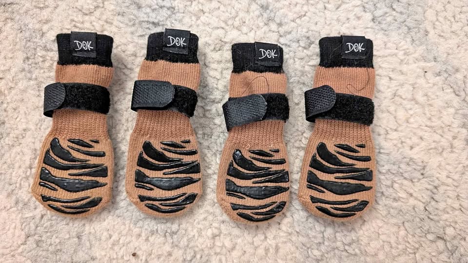 Tiger Toes Dog Grip Socks - Size XS