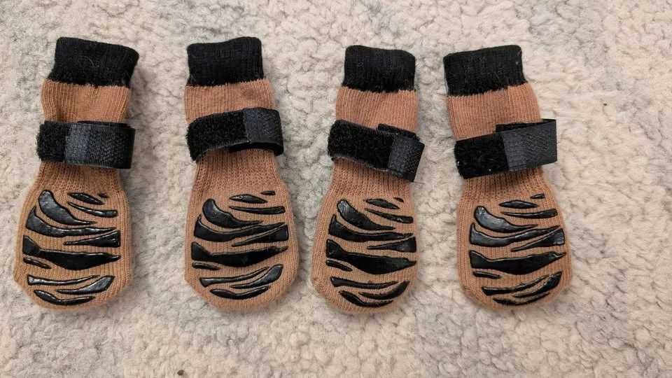 Tiger Toes Dog Grip Socks - Size XS image indicator(2)