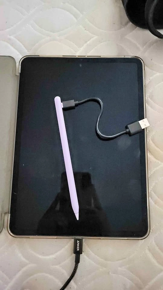 iPad Pro 11" M1 (2021) 512GB - Excellent Condition - Case Includ