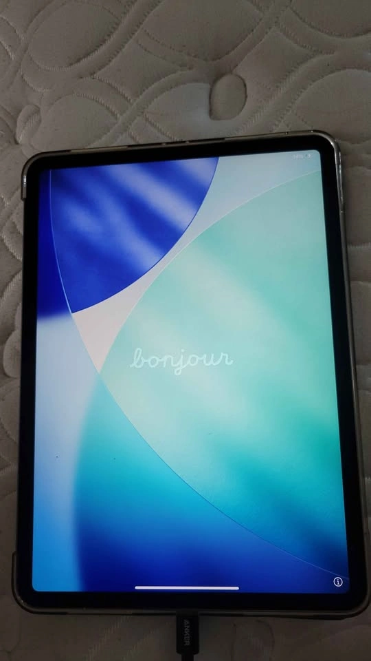 iPad Pro 11" M1 (2021) 512GB - Excellent Condition - Case Includ - photo 5