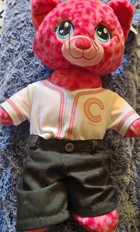 Build a bear Cubs