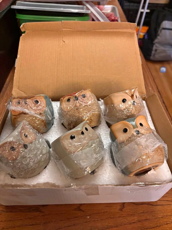 Set of Owl Succulent Pots