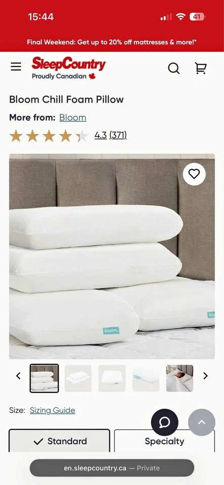 Bloom Chill Foam Cooling Pillow (From Sleep Country) - Like New
