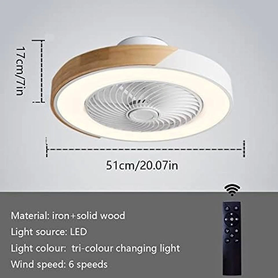 20" Enclosed Ceiling Fan with Lights Dimmable LED