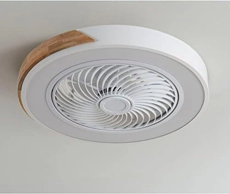 20" Enclosed Ceiling Fan with Lights Dimmable LED - photo 2