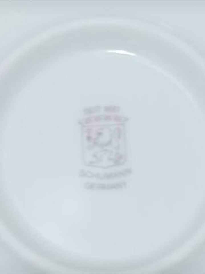 Unique New German Schumann Reticulated Porcelain Bowl - photo 4