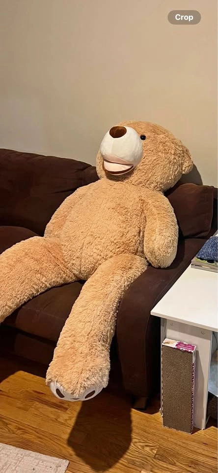 Giant Teddy Bear