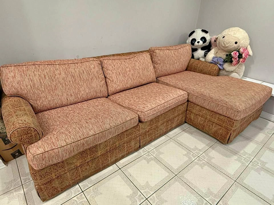 Sectional Sofa with Pull-Out Sleeper Bed & coffee table
