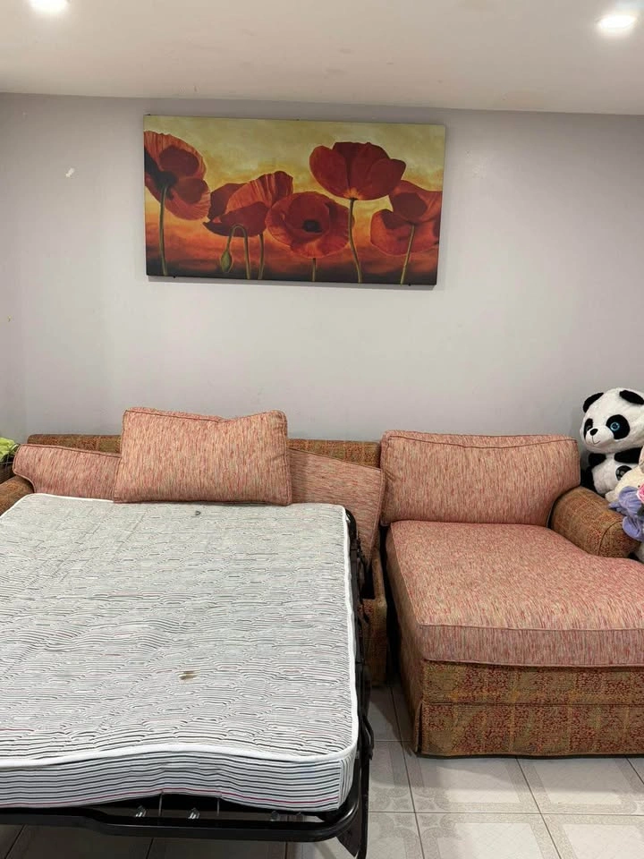 Sectional Sofa with Pull-Out Sleeper Bed & coffee table - photo 2