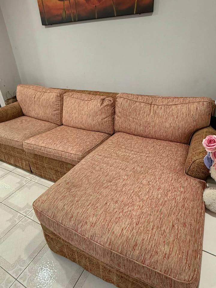 Sectional Sofa with Pull-Out Sleeper Bed & coffee table - photo 4