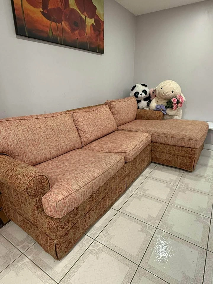 Sectional Sofa with Pull-Out Sleeper Bed & coffee table - photo 5