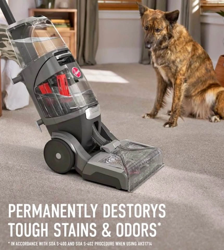 Carpet cleaner