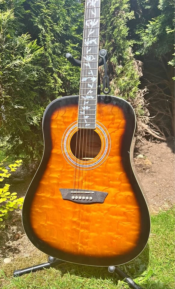 Washburn CUSTOM Acoustic Guitar