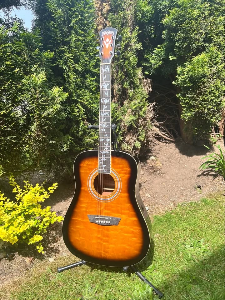 Washburn CUSTOM Acoustic Guitar - photo 2
