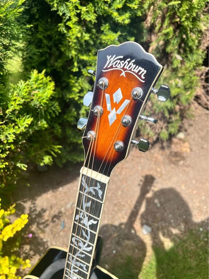 Washburn CUSTOM Acoustic Guitar - photo 3