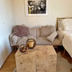 Velvet Sofa with Gold Legs