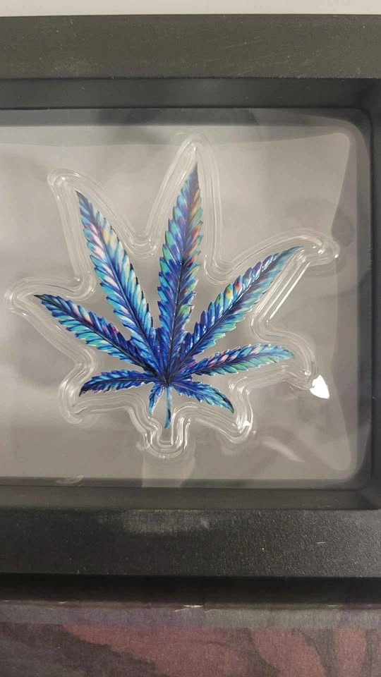 Silver Cannabis Leaf Acrylic Display Set 420 Somewhere - photo 4