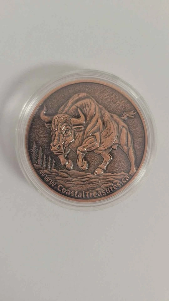 1oz Copper Collectible High Relief Bull & Bear - photo 2