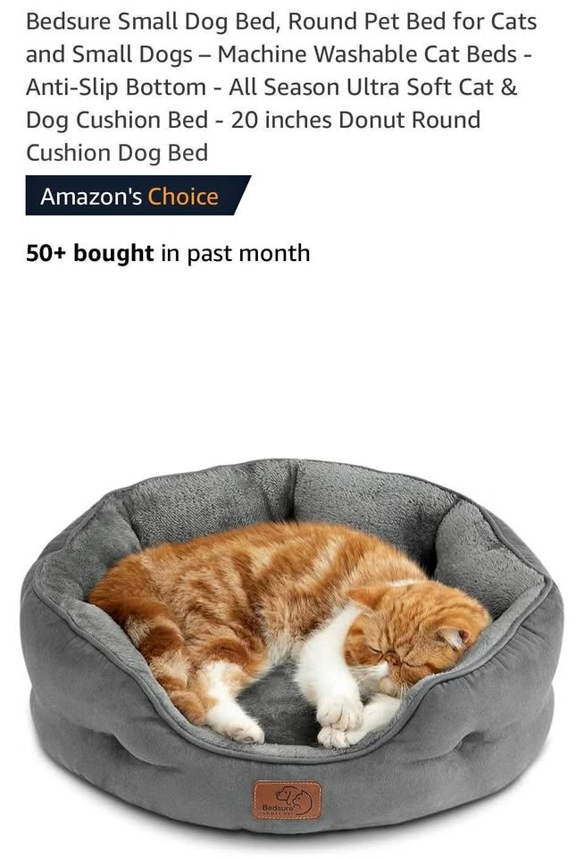 New Small pet bed
