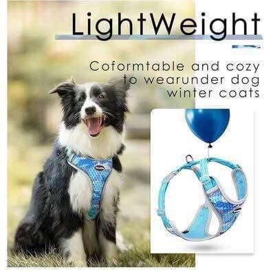 New Thinkpet Large dog harness - photo 5