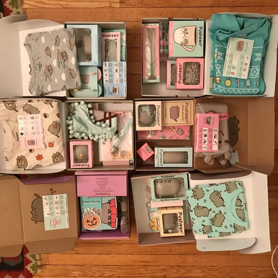 6 pusheen subscription boxes, almost complete