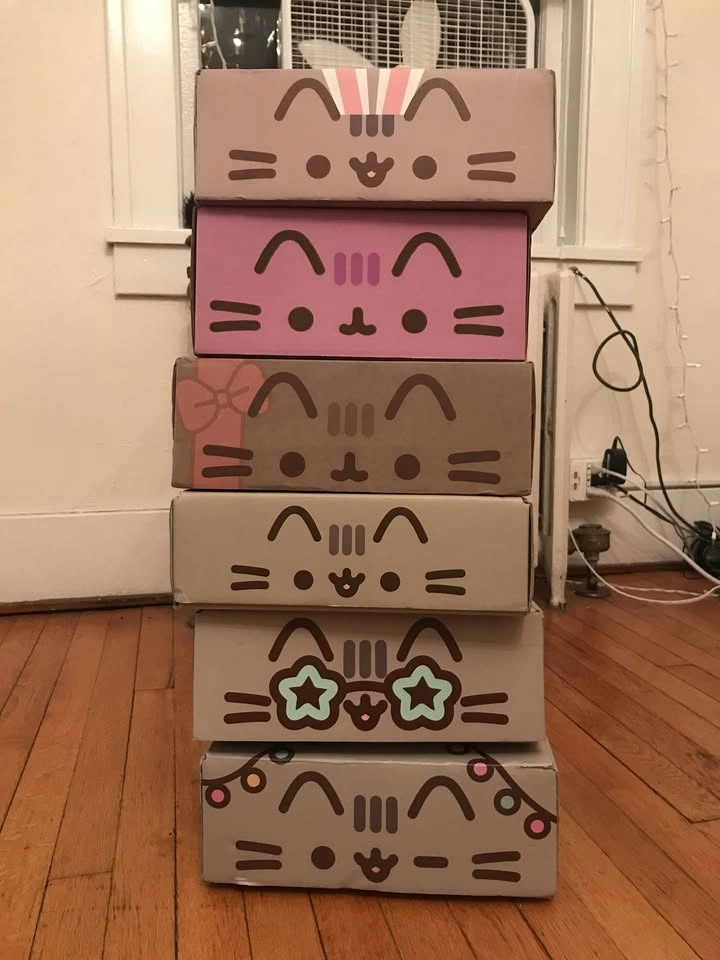 6 pusheen subscription boxes, almost complete - photo 3