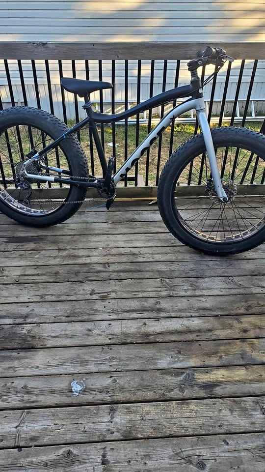 Moose fat bike 2