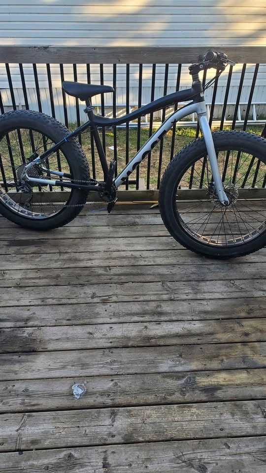 Moose fat bike 2 - photo 2