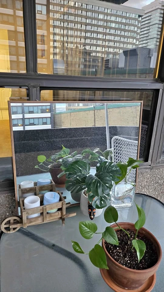 Rectangular Wooden Frame Mirror