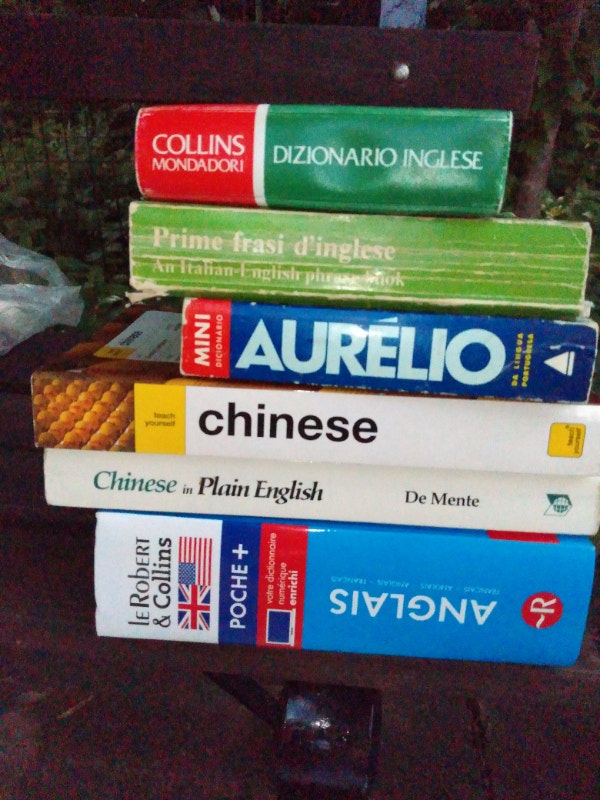 Assorted language books and dictionaries