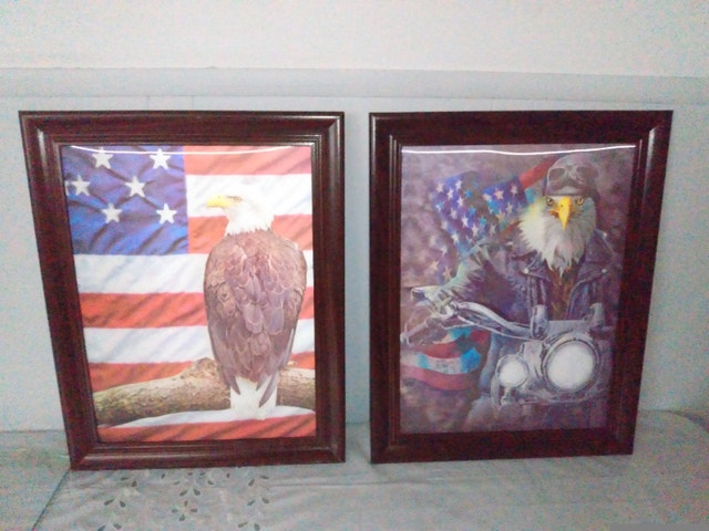 Assorted 3D and 4D Framed Prints: DC Comics, USA, Birds - photo 2