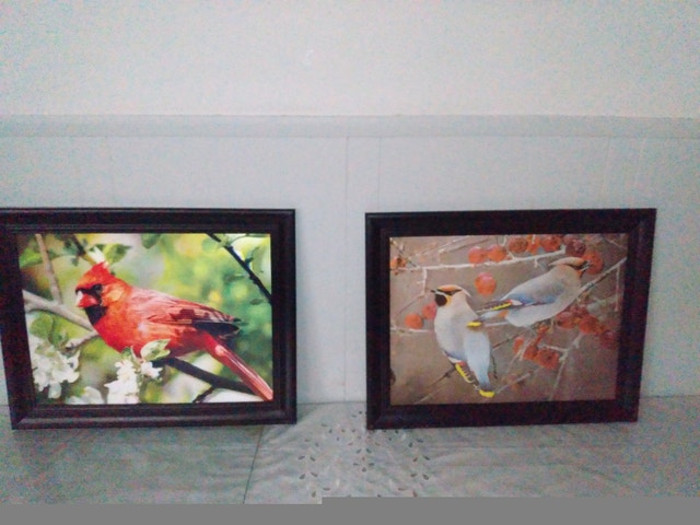Assorted 3D and 4D Framed Prints: DC Comics, USA, Birds - photo 3
